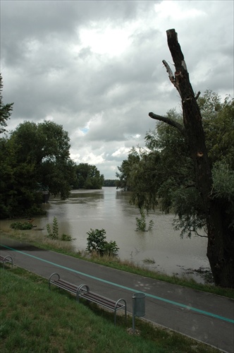 Vyliaty Dunaj