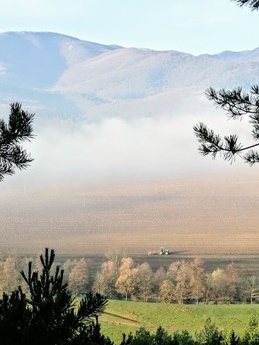 Neskoro ale predsa 