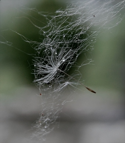 ...spider web and i´m caught in the middle