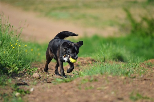 Zorka alias Zuza! :D