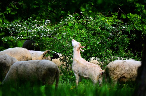 V živote treba všetko ochutnať...