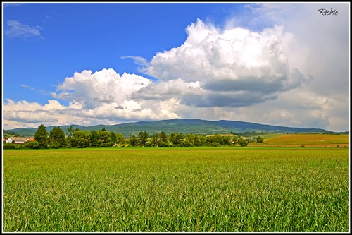Poľana nad Detvou II.