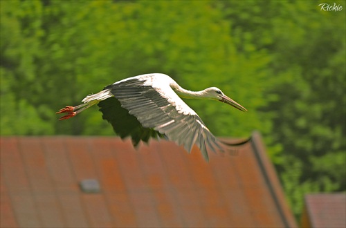 A tak si letím II....