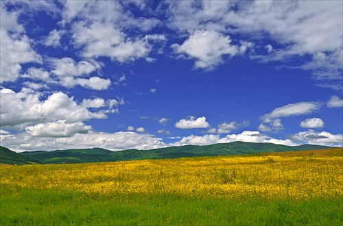 Poľana nad Detvou IV.