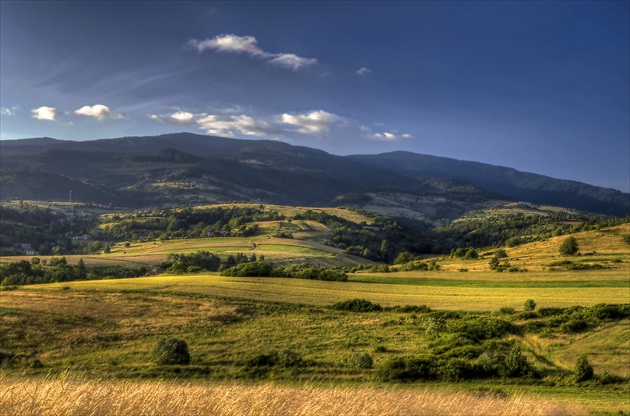 Poľana nad Detvou VI.