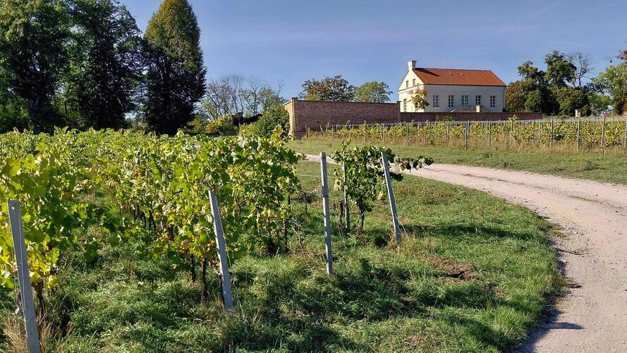 Jesenný pozdrav z kúsku Toskánska na Morave
