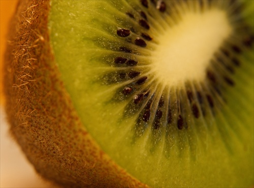 Kiwi