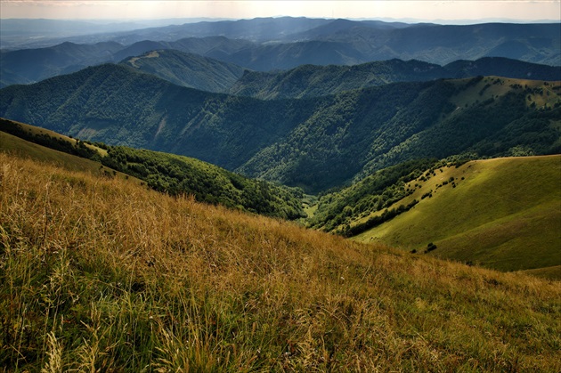 Fatranskė vlny