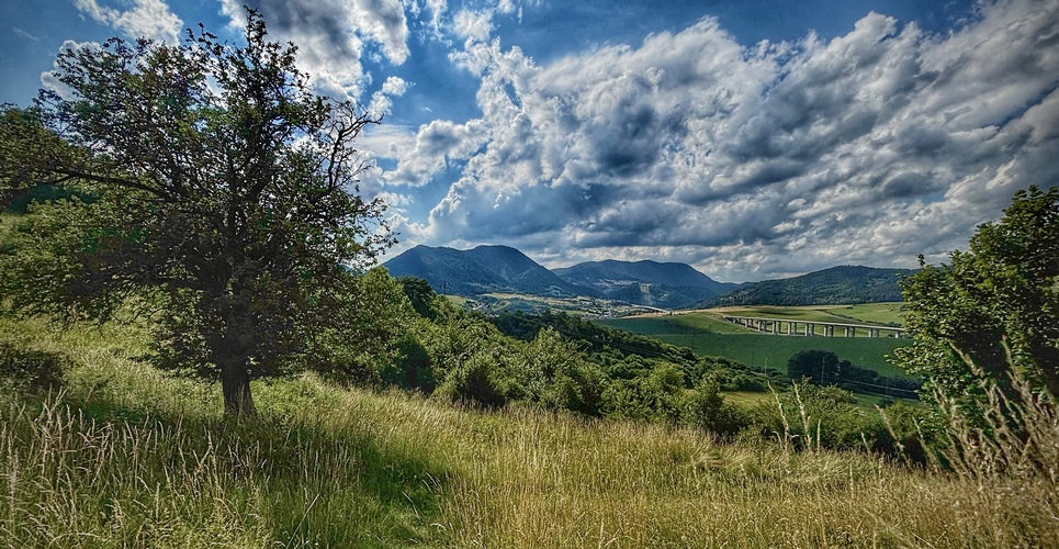 jedna poľná