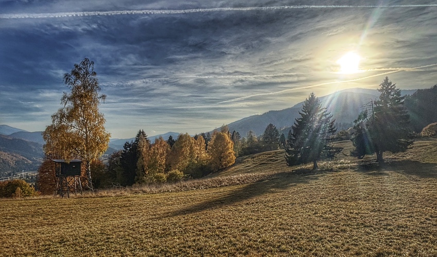 jesenná