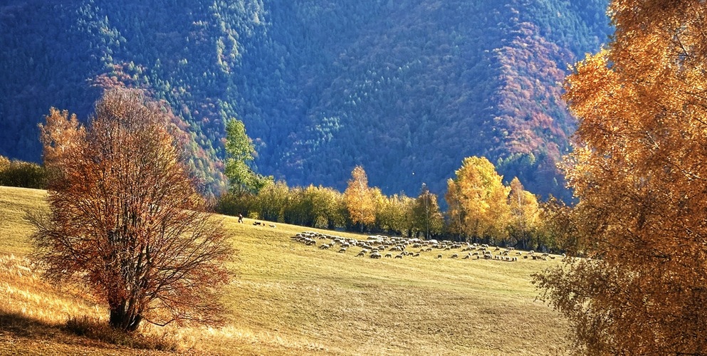 Liptovské ráno