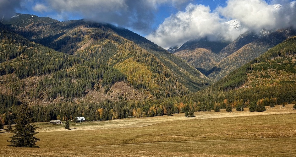 Chujavy