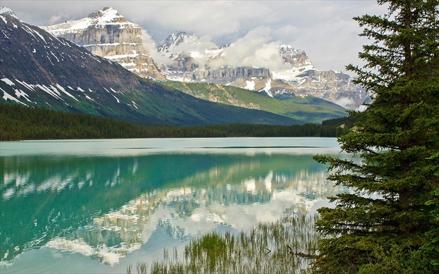 Waterfowl lake