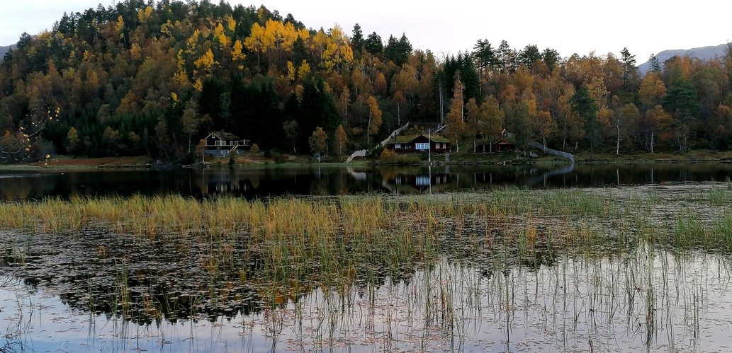 Jesenná idylka pri jazere