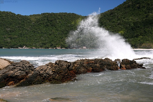 PARATY - ŠTÁT RIO DE JANEIRO - VLNA