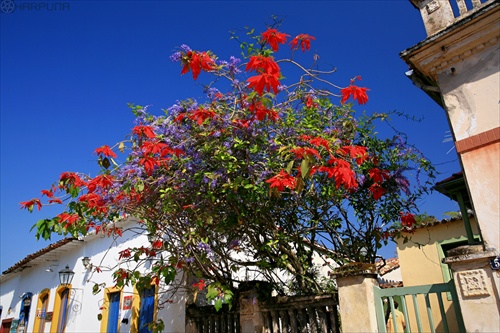 PARATY - ŠTÁT RIO DE JANEIRO