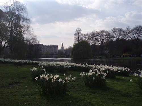 jar v St.James's Park