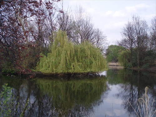 in St. James's Park