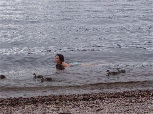 plavanie s kackami v Loch Ness