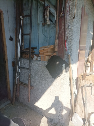 Zbijem tac jak hada