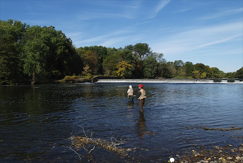 fishing