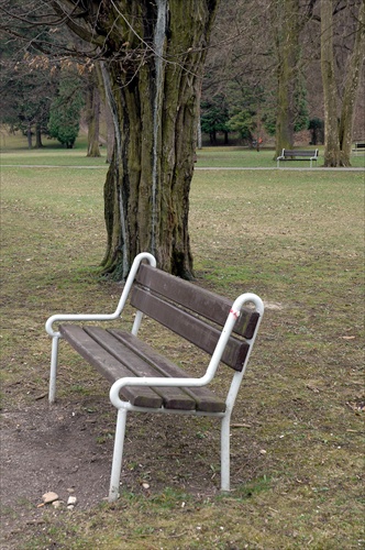 Samota lavičiek