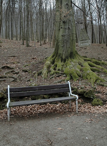 Samota lavičiek 1