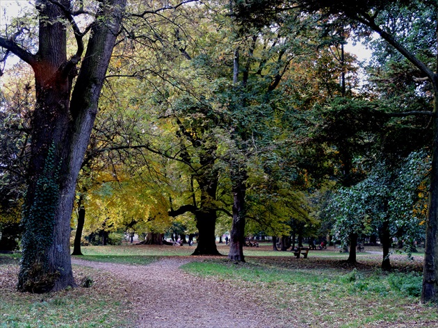 Stupava park