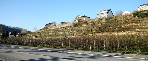 Luxemburg, Moselské vinice 1