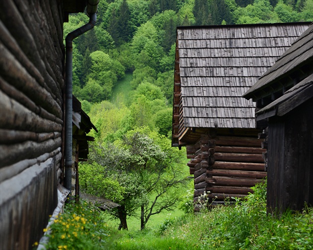 .. cestička do záhrad ...