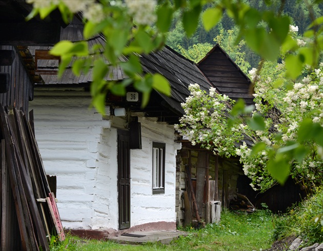 .. zadný dvor ...