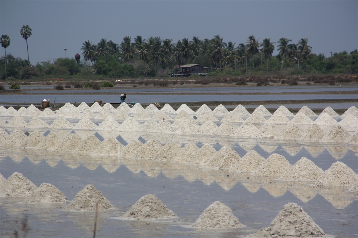 Soľné polia (Thajsko)