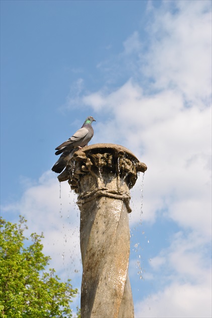 holubia fontána