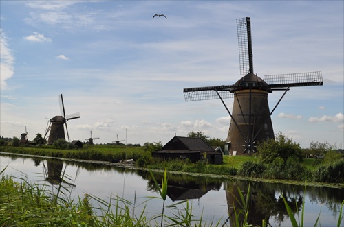 Holandské mlyny 2.