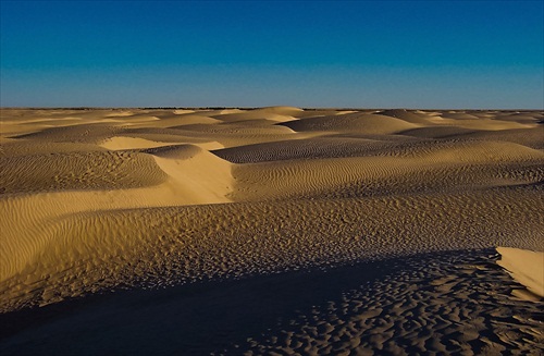 Saharské Duny II