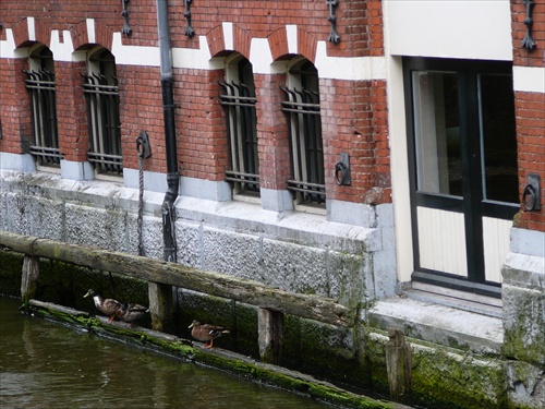 Kanál v Amsterdame