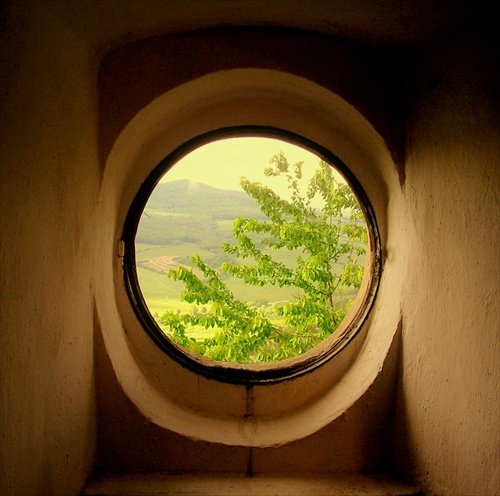 Okno alebo oko do prirody...