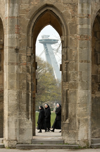 Mníšky v parku