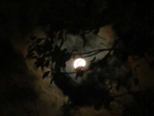 Mesiac v splne