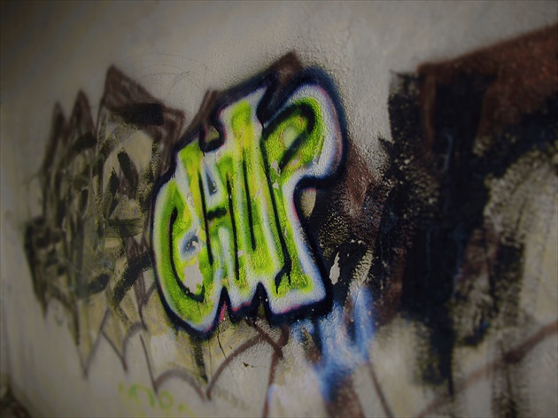 CHIP