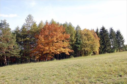 podzim v Brně3