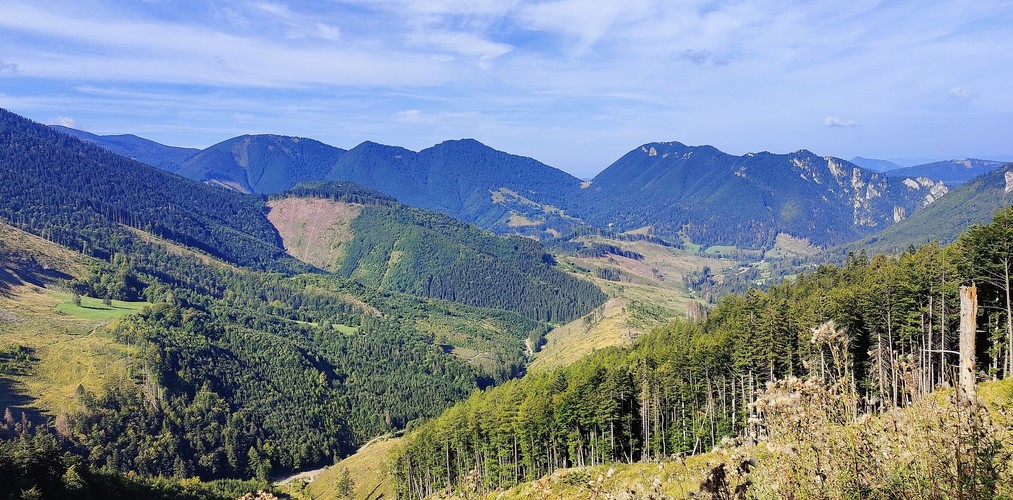 Vrátna