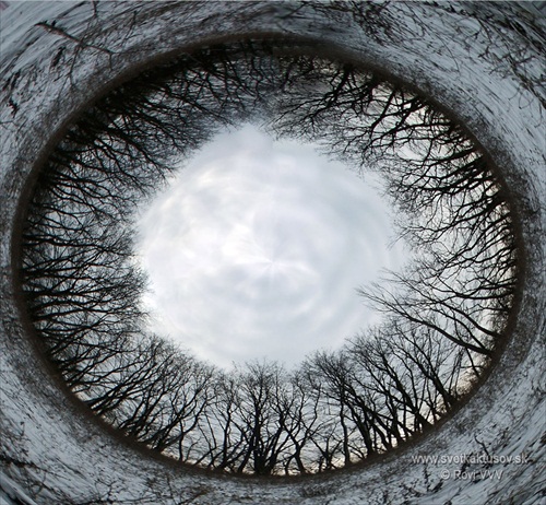 Oko prírody