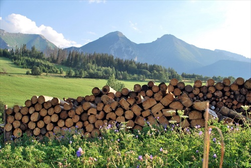 bel.tatry