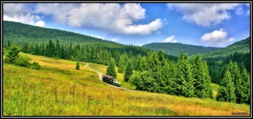 Oravská lesná železnica leto 2010