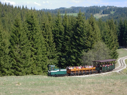 Oravská lesná železnička