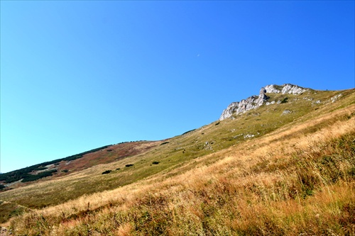 Chleb