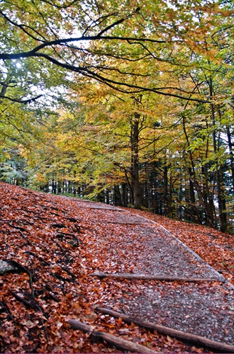 Pieninská jeseň