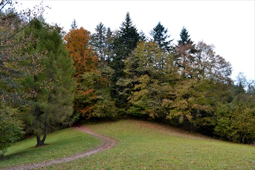 Pieninský les