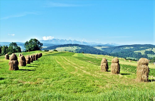 Pieninsko-tatranská